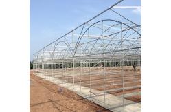 China Clear Multi Span Greenhouse Hot Dip Galvanized Pipe Size Customized supplier
