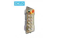China Ten- way single speed switch industrial remote control supplier