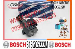 China Chinese New Diesel Fuel Injection Unit Pump 313GC5222M 313GC5227M 5010284908 in stock supplier