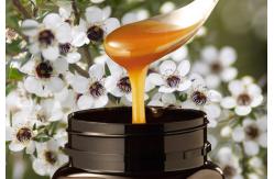 China MGO260+ Manuka Honey Pure Raw Honey 250g (UMF10+)  from Beestar supplier