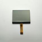 Customized COG LCD Display Dot Matrix Liquid Crystal Display FSTN Transflective