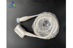 China Biosound Biosound SP2430 Ultrasound Transducer Probe Lens Replacement supplier