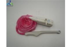 China GE E6C-RC Curved Endocavity Ultrasound Transducer Probe Diagnosis Equipment supplier