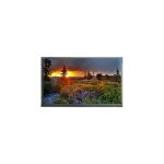 Hot Sell 1920*1080 N140HCQ-G51 14.0 inch WLED LCD Monitor for sale
