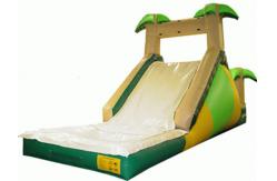 China Inflatble Slide / inflatable pool slide / inflatable palm slide supplier