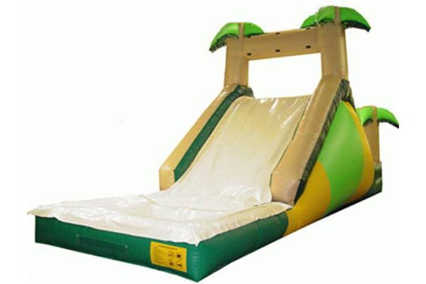 Inflatble Slide / inflatable pool slide / inflatable palm slide
