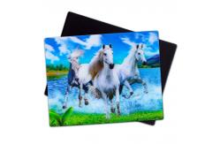 China Lovely Puppies 3D Magnets Lenticular 3D Fridge Magnet For Souvenir Gift supplier