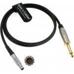 Timecode Cable For Sound Devices 833 To Denecke TS-3 Slate 5 Pin Male To 1/4'' Mono TS Time Code Bidirectional Cable 1m for sale
