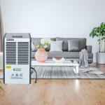 Prevent Structural Damage and Extend Equipment Lifespan with Dehumidifier for Commercial Environments for sale