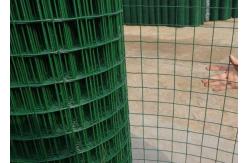 China Holland 3.0mm H1.0m Welded Wire Mesh Fence Garden Wire Mesh Fencing supplier