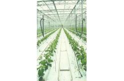 China Hydroponic Rockwool Grow Cubes supplier