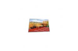 China F132A02-6T1 13.2 inch 1600*2400 LCD Display LCD Screen supplier
