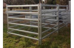 China Galvanized Pipe Corral Sheep Cattle Panels Fence 1.8x2.1m supplier