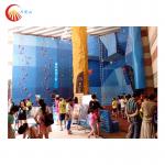 Indoor Speed Climbing Gym Holds Outdoor Climbing Holds For Adults for sale
