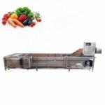 SS304 Multifunctional Potato Ginger Washing And Peeling Machine Automatic for sale
