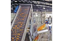 China SUS316 Industrial Fruit Juice Processing Line Automatic Citrus Jam Making Machine supplier