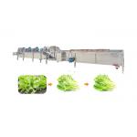 carrots 10.1kw 1500kg/h SS304 Vegetable Dryer Machine for sale