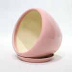 Easy To Clean Ceramic Pots For Plants Durable And Stylish Options