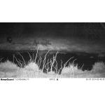 Scouting Trail Digital Infrared Hunting Camera / Hunter Cameras in Camouflage