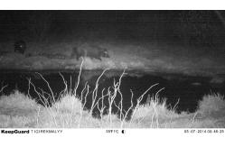 China Scouting Trail Digital Infrared Hunting Camera / Hunter Cameras in Camouflage supplier