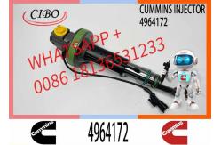 China Fuel Injector Assembly Y431K05417 F00L0J019 4964172 2867147 2882077 For Qsk19 Engine supplier
