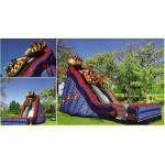 Wild One Slide for sale