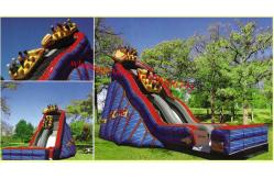 China Wild One Slide supplier