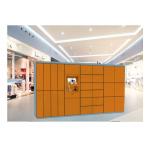 Clothes Drying Laundry Service Equipment Storage Closet Cabinet Steel Locker With Network for sale