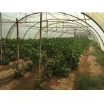 Cucumber Melon Tomato Twine 5000m/5kg Cultivated Grow Support Hooks Galvanized Steel