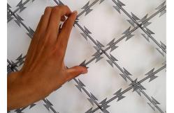 China Home Depot Galvanized 2.5mm Razor Sharp Barbed Wire supplier
