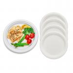 Microwaveable Eco Friendly Packaging Compostable Sugarcane Plates Biodegradable Pulp Molded for sale