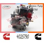Diesel Engine Parts Fuel Injection Pump 4025790 4061145 3096205 For Cummins KTA19 for sale