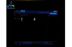 China Biosound PA230E 4MHz Cardiac Ultrasound Probe Phased Array Transducer Medical Scanners supplier