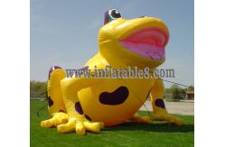 China Advertising Inflatable Model with frog animal model supplier