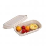 850ml Compostable Sugarcane Bagasse Takeaway Eco Friendly Disposable Lunch Boxes for sale