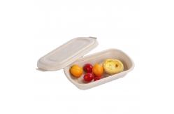 China 850ml Compostable Sugarcane Bagasse Takeaway Eco Friendly Disposable Lunch Boxes supplier