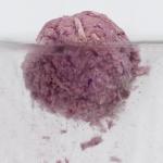 Purple OEM Premium Tofu Cat Litter Lavender Flushable Tofu Cat Litter Bulk for sale