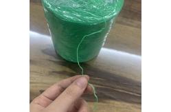 China Cucumber Melon Tomato Twine 5000m/5kg Cultivated Grow Support Hooks Galvanized Steel supplier