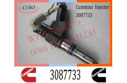 China Common Rail Diesel Fuel N14 Injector 3087733 3087560 3411752 3411765 supplier