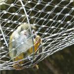 Custom Zoo Wire Meshing For Animal Cages In SS304 SS316 SS316L for sale