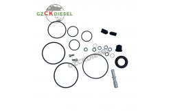 China VDO Injection Pump Repair Kit Overhaul Repair Kit for PUMP A2C59517043 supplier