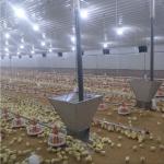 50 Broiler Chicken Fully Automatic Pan Feeding System for sale