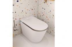 China Automatic Sanitary Ware Items , Black Bathroom Wc Intelligent Ceramic Toilet Bowl supplier