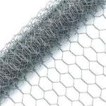 Fence Iron BWG27 Chicken Hexagonal Wire Mesh Pvc Coated Anti Corrosion for sale