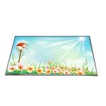 B133XTN01.7 13.3 INCH 1366*768 LCD Screen Display panel for sale