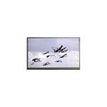 N140HGE-ENA 14.0 inch 1920*1080 60Hz 262K LCD Screen Panel for sale
