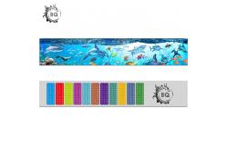 China Custom Lenticular Printing Services 3d Ruler 31x5.4cm High Definition supplier