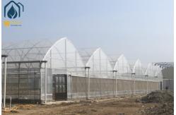 China Large Hydroponic Multi Span Greenhouse For Tomato / Pepper / Cucumber Planting supplier