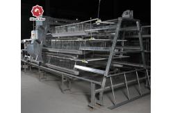 China 1.2mm Automatic Poultry Feeding System Q235 Hot Dipped Galvanized Sheet supplier
