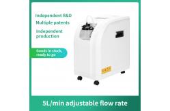 China 5 Liter Continuous Flow Portable Oxygen Concentrator Machine 400VA supplier